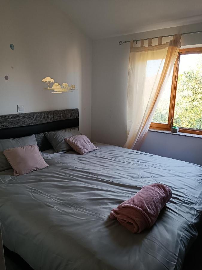 Апартаменти Apartman Brigita Біоград-на-Мору Екстер'єр фото